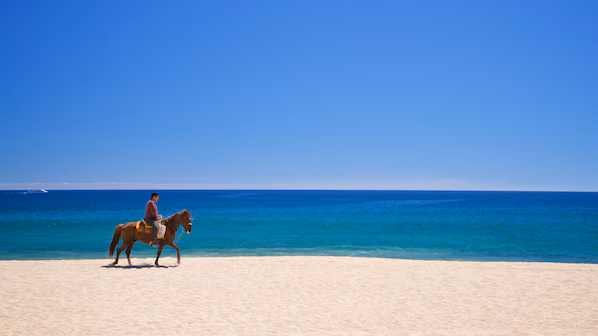 Playa Hotelera near Hyatt Ziva Los Cabos with golden sands and beautiful Sea of Cortez views