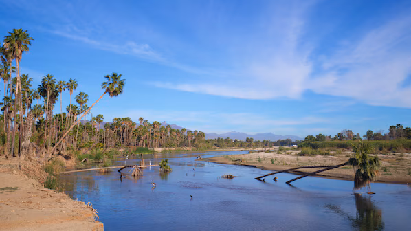 San Jose's Estuary and Bird Sanctuary near Hyatt Ziva Los Cabos with scenic nature trails and abundant wildlife